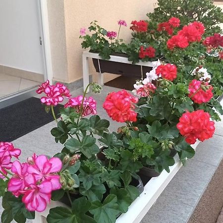 Apartment Marelja - Private Parking And Balcony زادار المظهر الخارجي الصورة