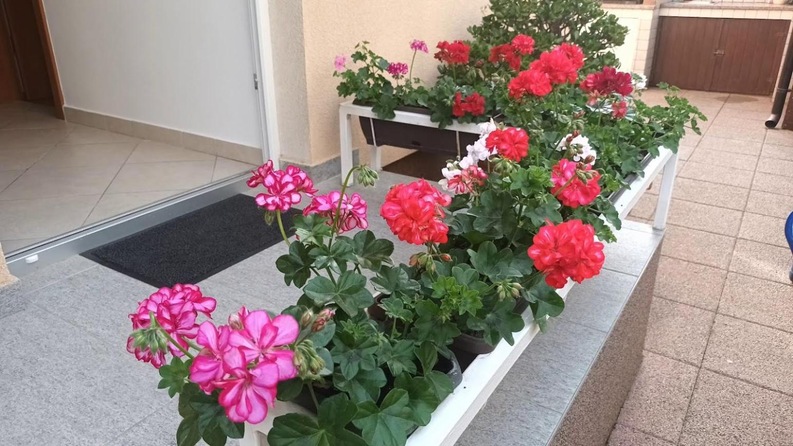 Apartment Marelja - Private Parking And Balcony زادار المظهر الخارجي الصورة